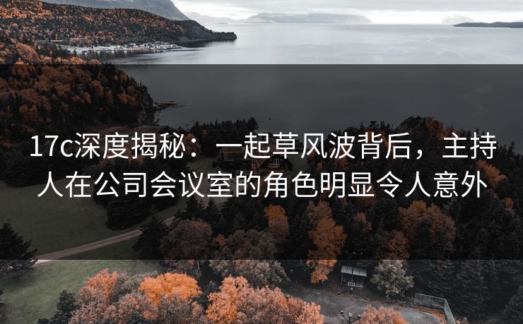 17c深度揭秘：一起草风波背后，主持人在公司会议室的角色明显令人意外