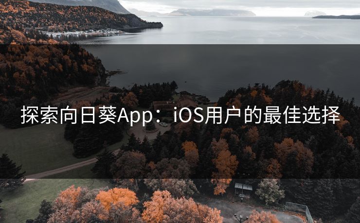 探索向日葵App：iOS用户的最佳选择