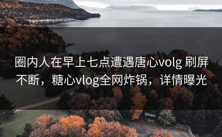 圈内人在早上七点遭遇唐心volg 刷屏不断,糖心vlog全网炸锅,详情曝光 圈内人在早上七点遭遇唐心volg 刷屏不断,糖心vlog全网炸锅,详情曝光